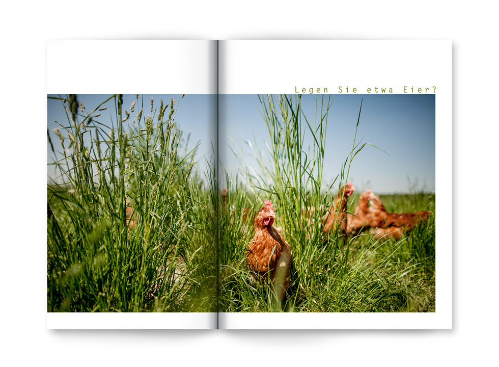 Doppelseite in einem angeschlagenen Buch mit einem Foto von Hühnern auf der Wiese.