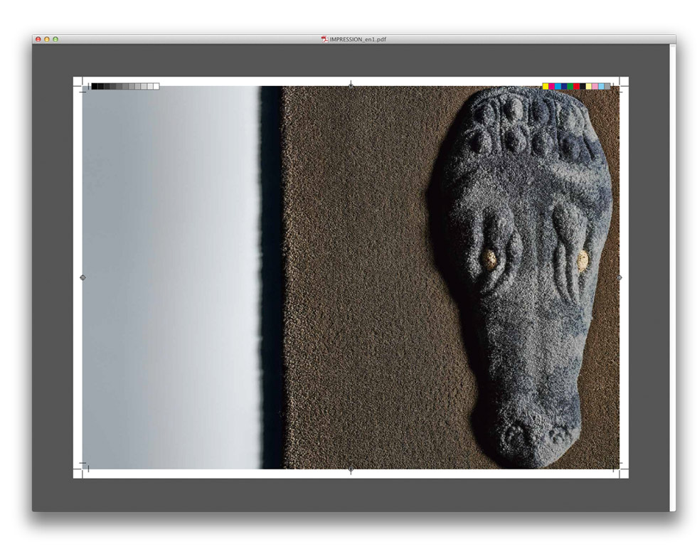 Eine Druckseite mit einer Detailaufnahme von einem Teppich mit einem eingewebten Krokodilkopf.