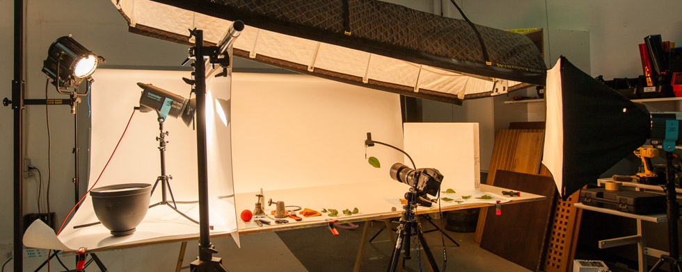 Ein Fotoset mit Aufbautisch, Blitzlampen, Kamera und einem Blatt als Motiv.